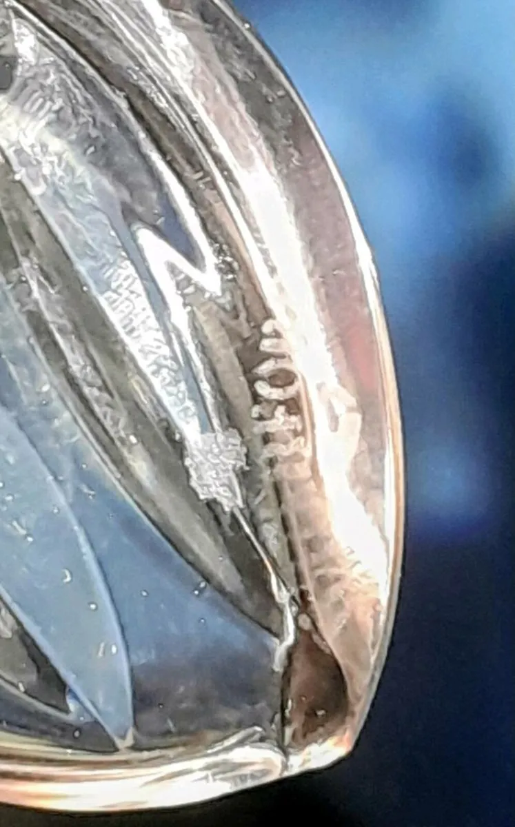 Waterford crystal Leaping Dolphin - Image 4