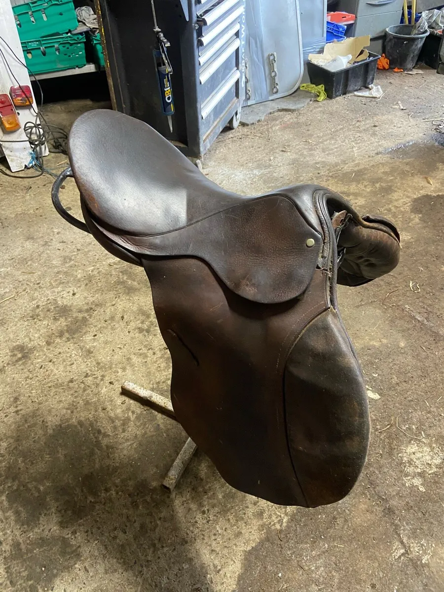 Saddle - Image 2