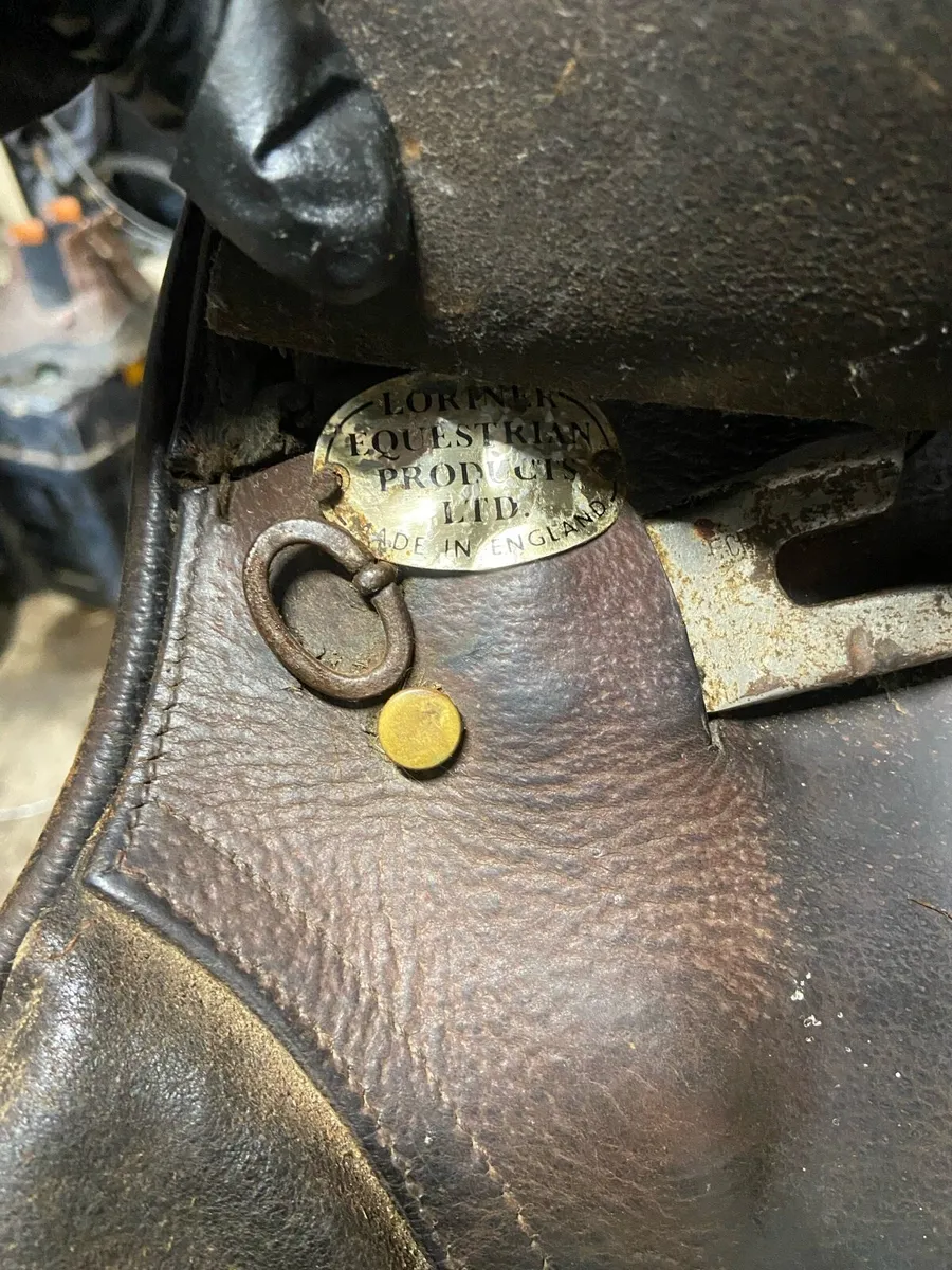 Saddle - Image 3