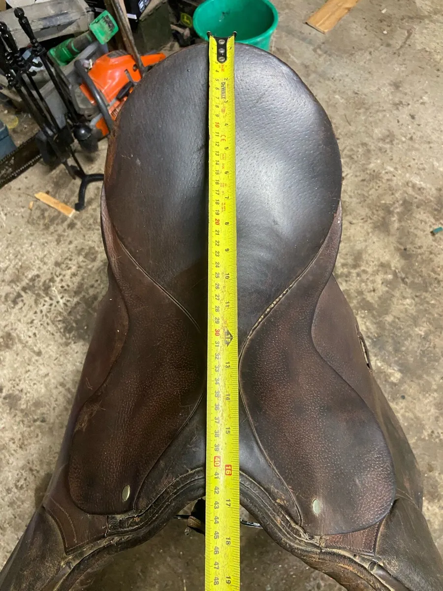 Saddle - Image 4