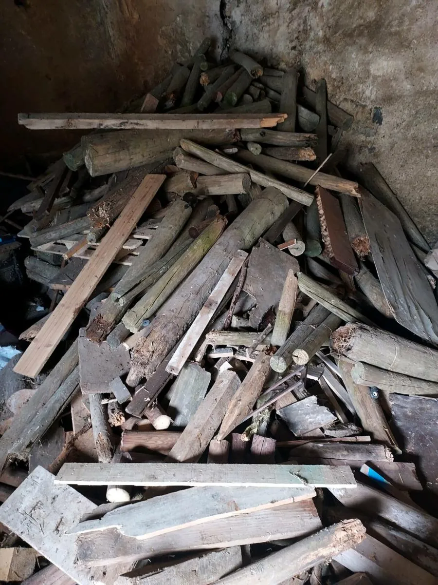 Free Firewood - Image 1