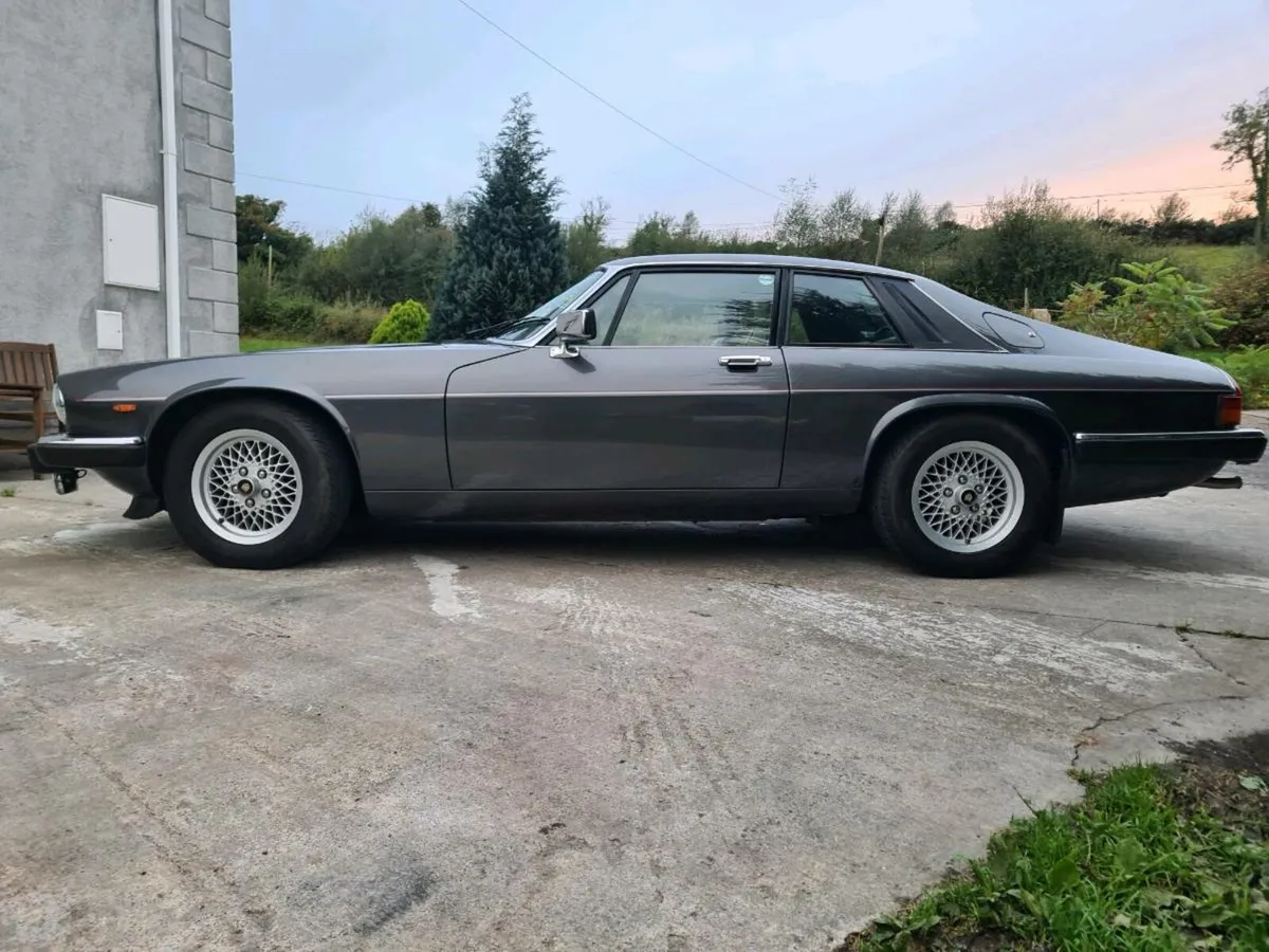 Jaguar XJS 3.6  Sport - Image 2