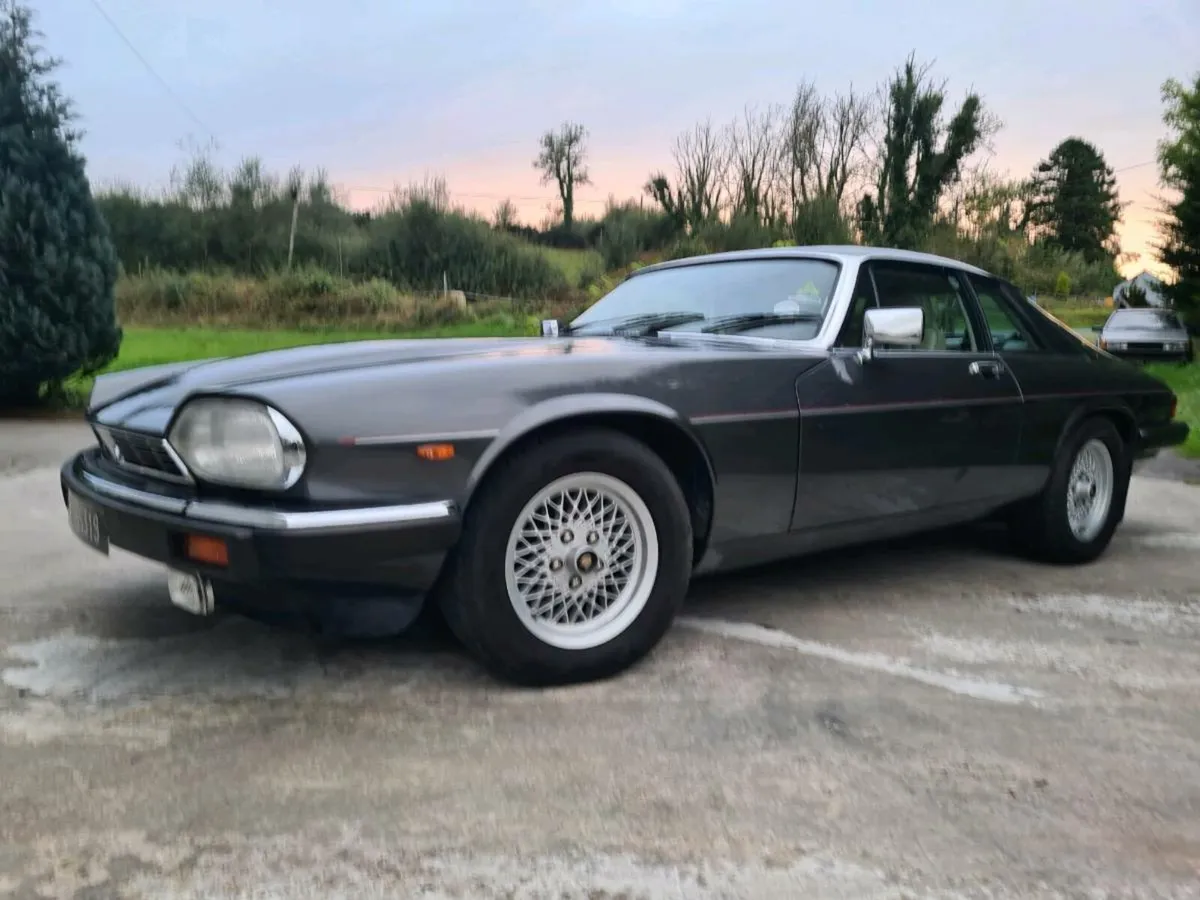 Jaguar XJS 3.6  Sport - Image 1