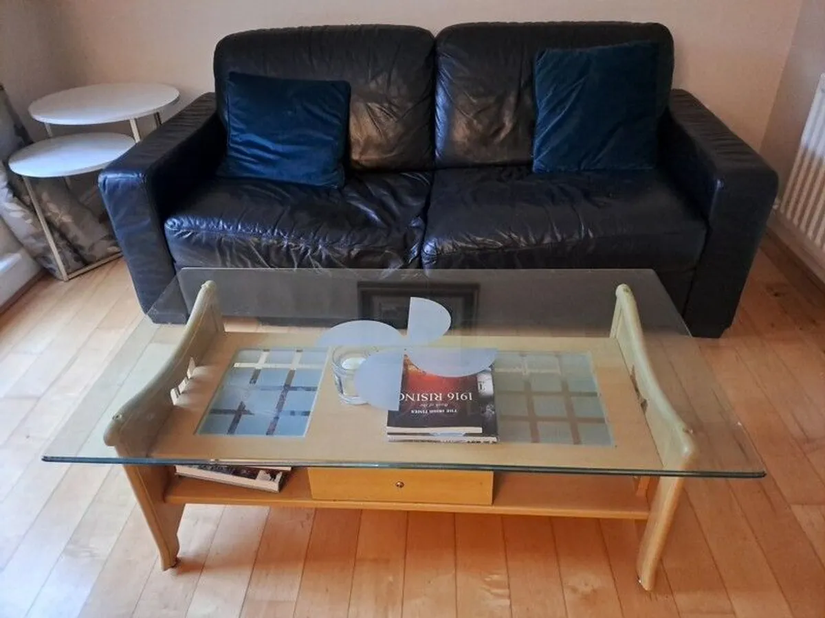 Free Leather Sofa