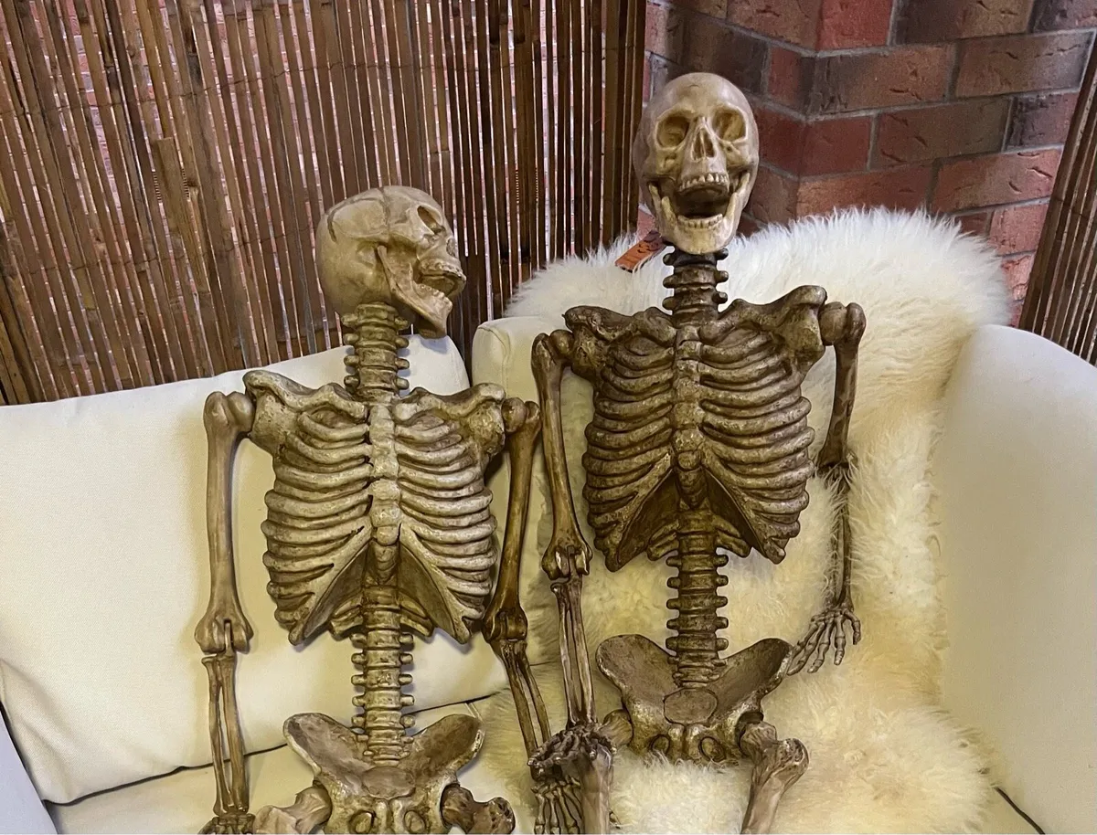 Halloween Decorations Skeletons - Image 1
