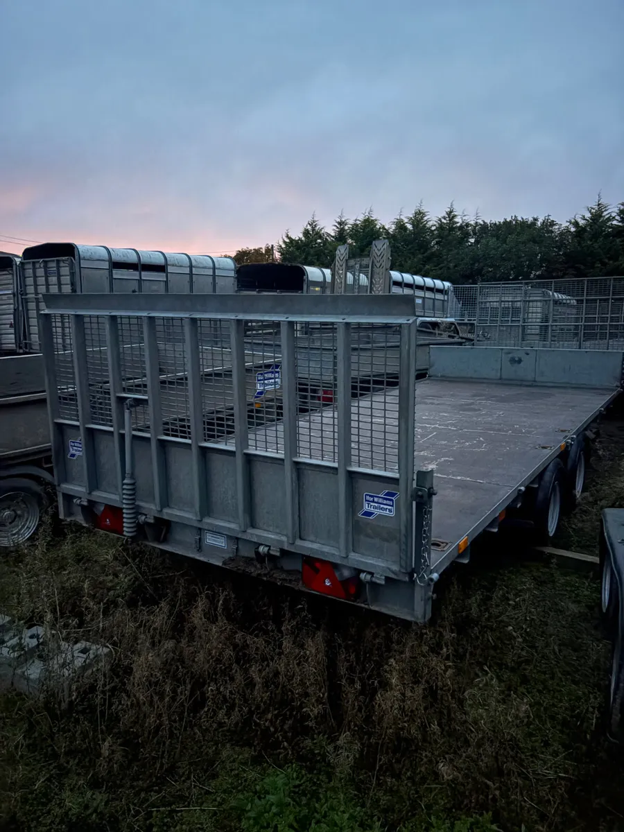 2020 ifor Williams 16ft tilt bed trailer - Image 2