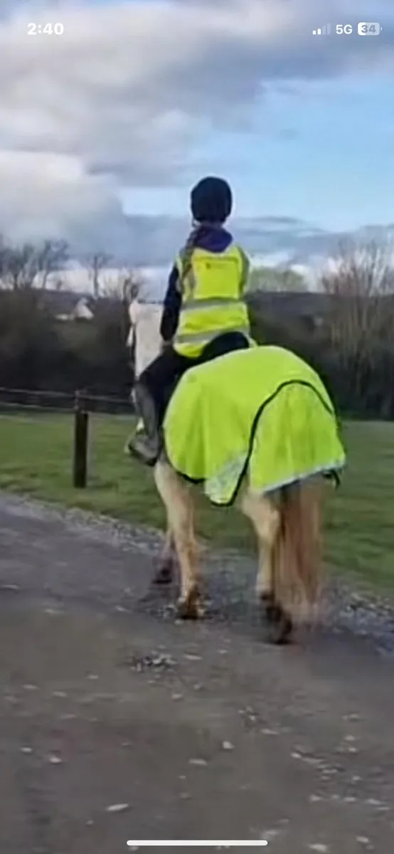Pony - Image 2
