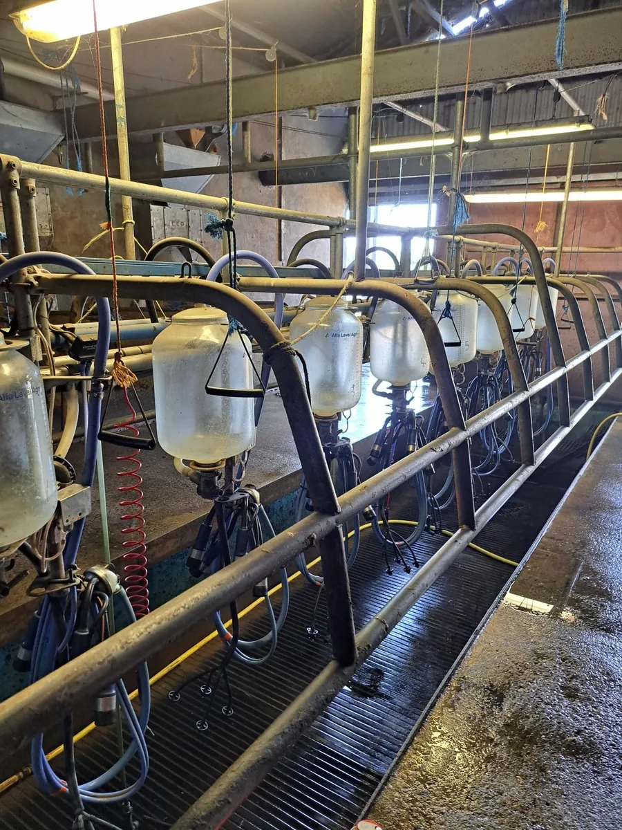 Milking parlour - Image 2