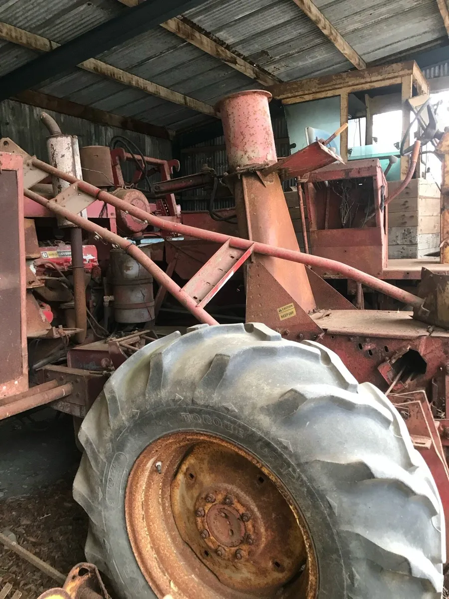 New Holland - Image 2