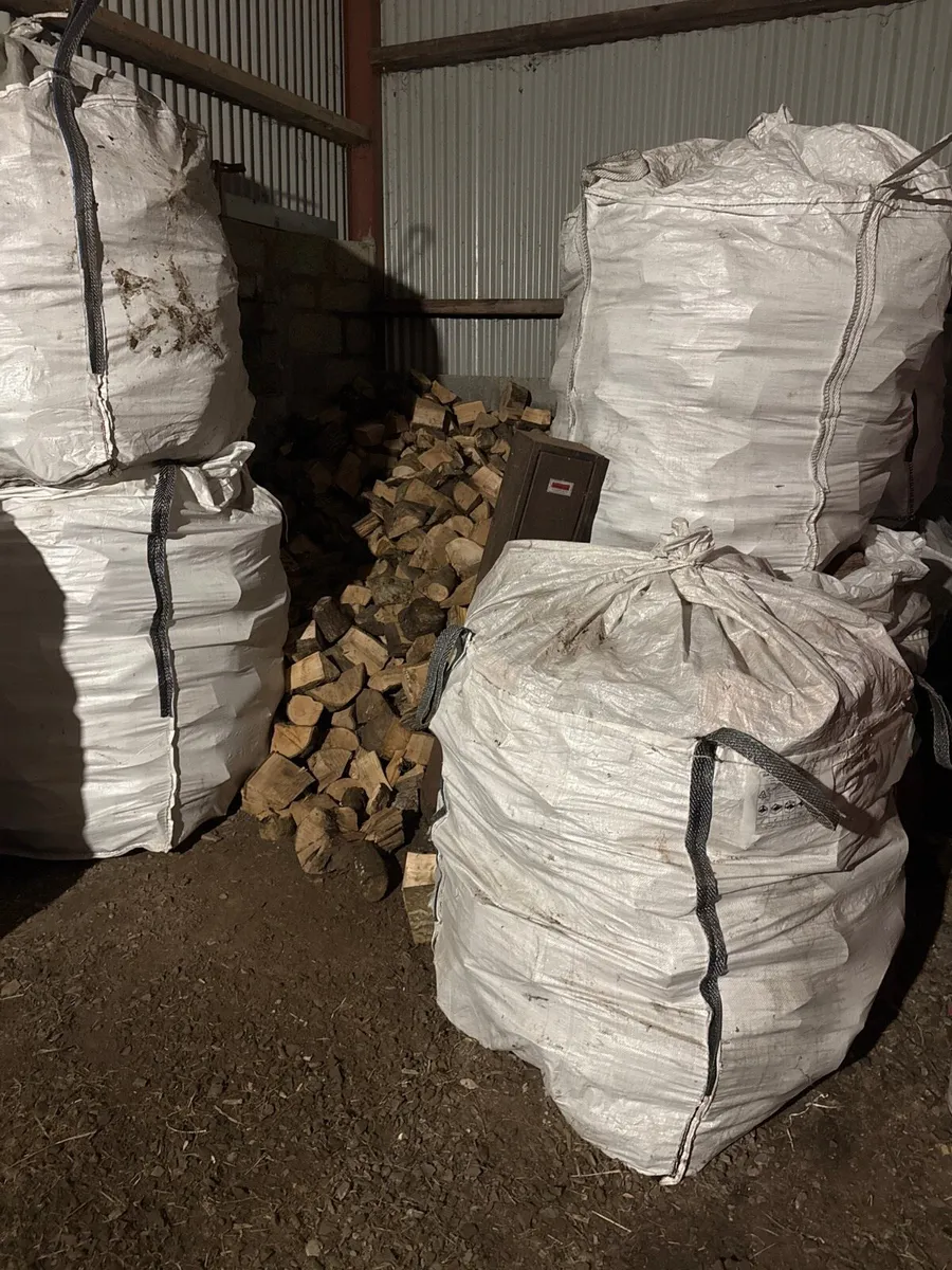 Ash firewood 🪵
