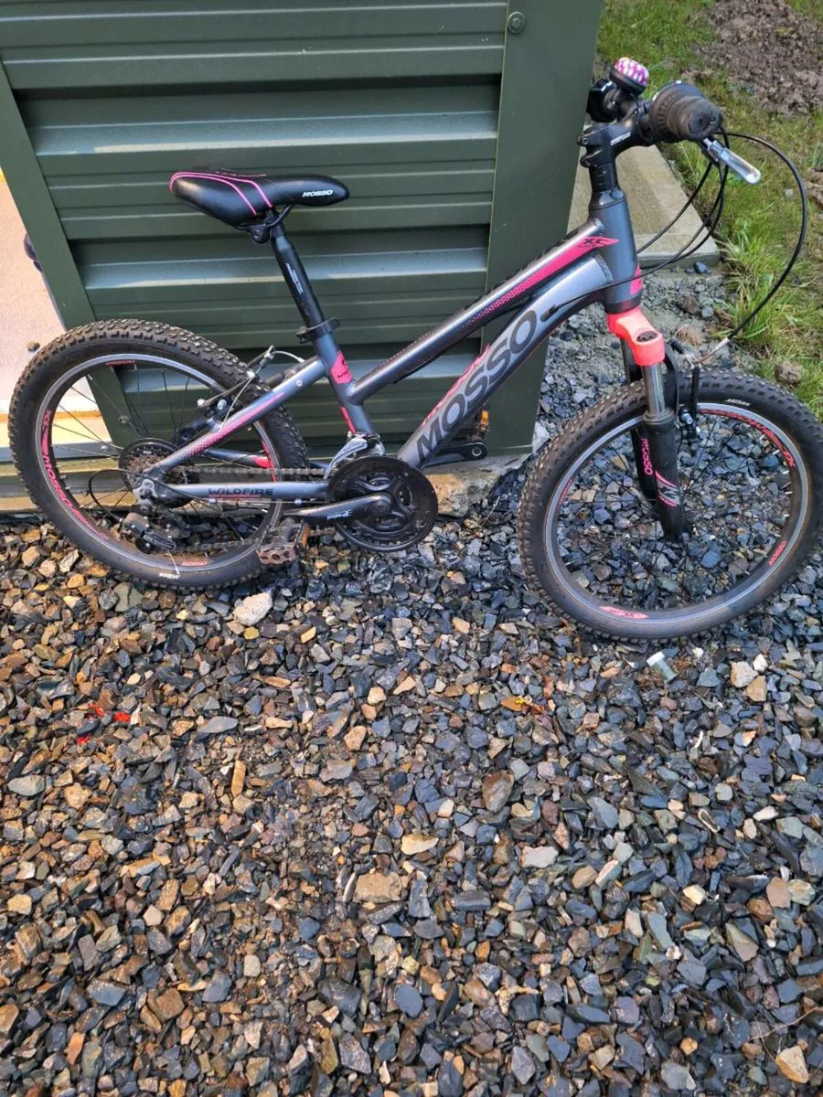 Girls Bike