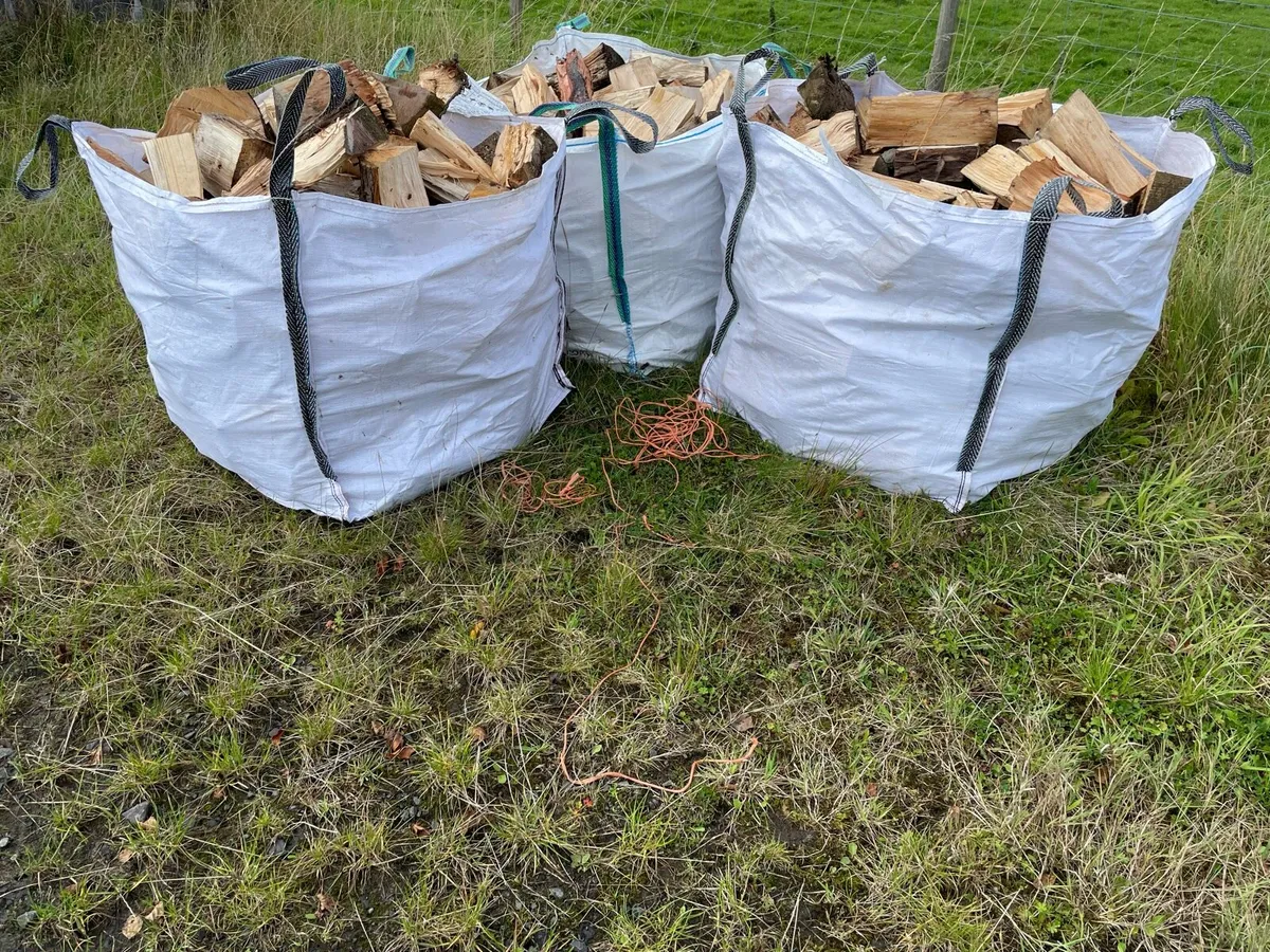 Firewood - Image 1