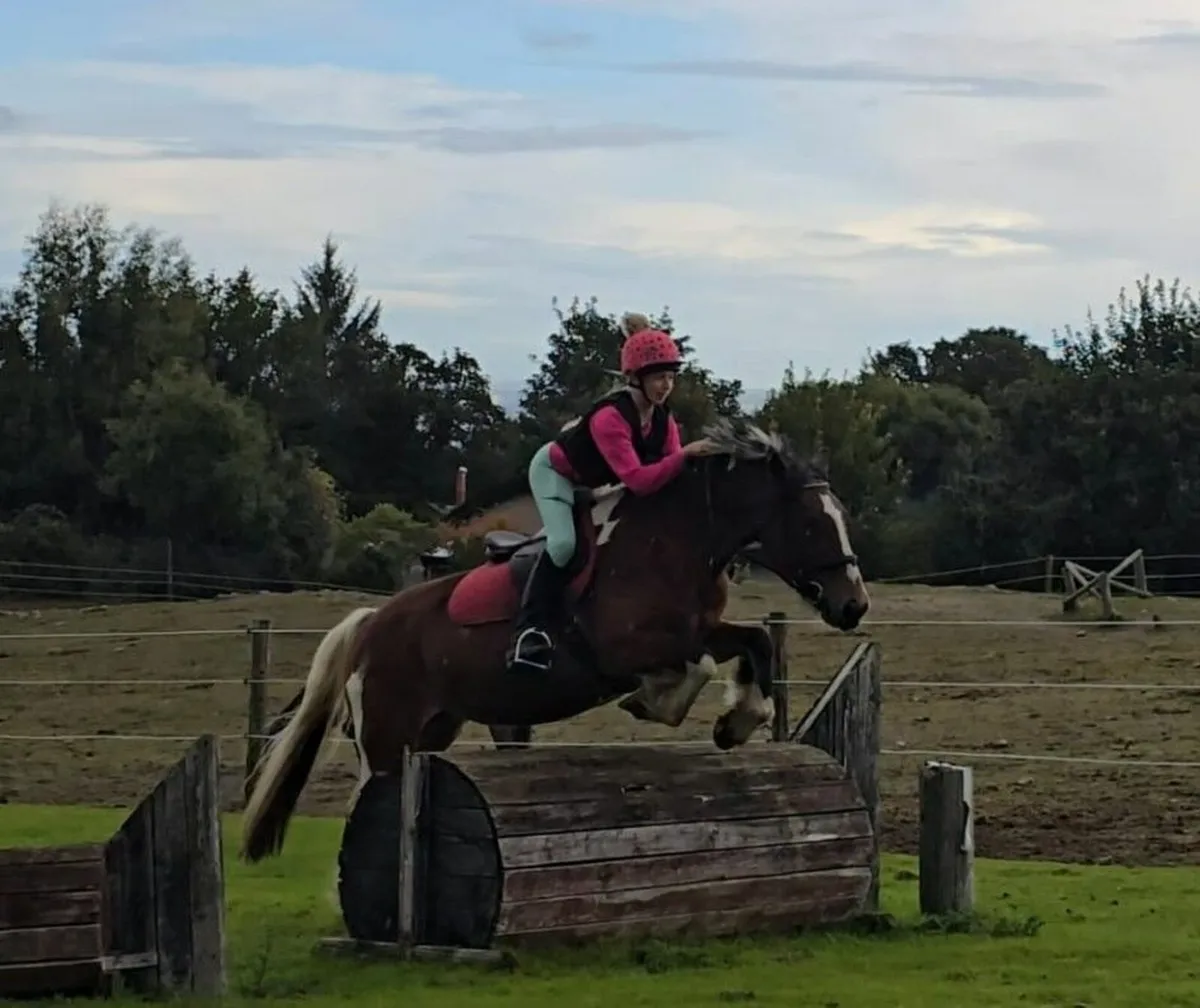 *** One in A Million Allrounder *** - Image 3