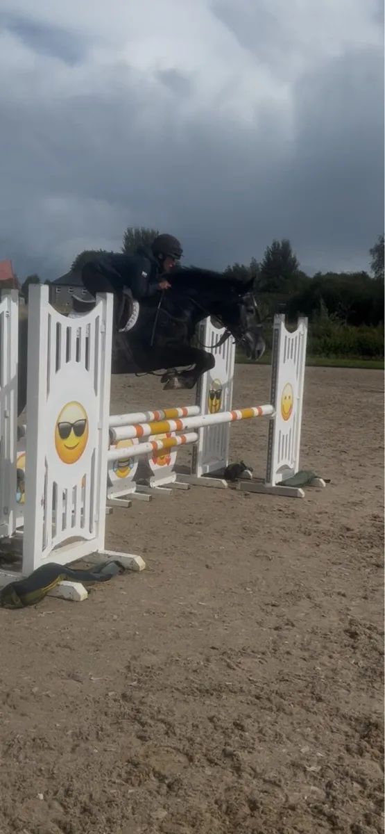 Potential Allrounder - Image 1