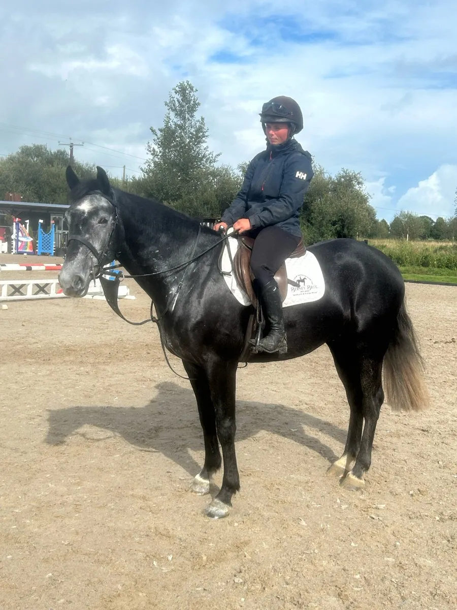Potential Allrounder - Image 4