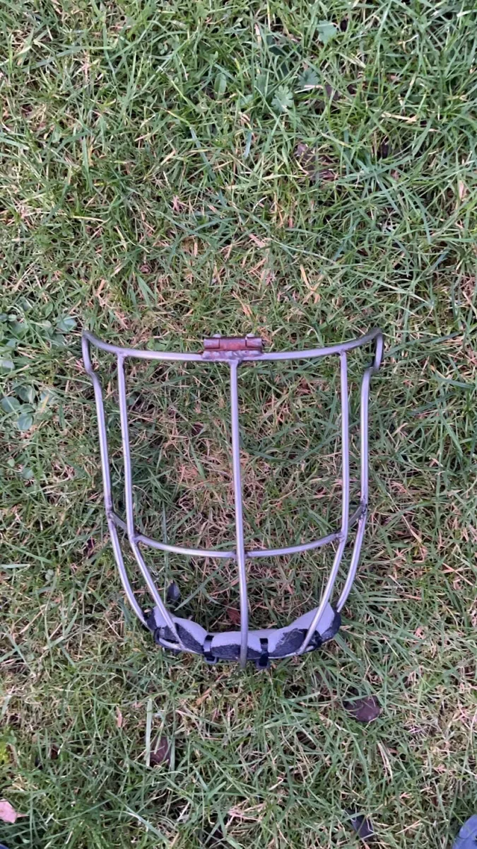 Old Gerry Cleere Narrow Hinge Guards - Image 4
