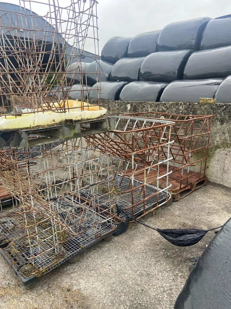 Sheep feeders - Image 2