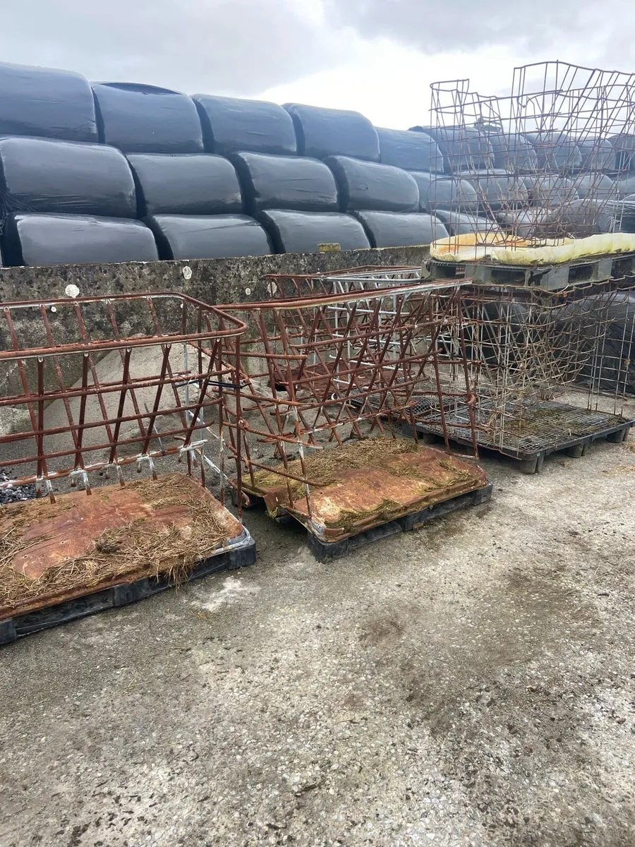 Sheep feeders - Image 1