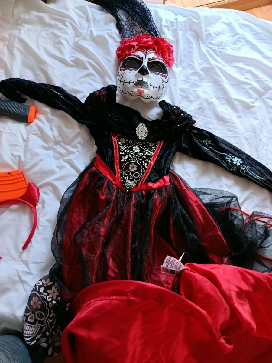 Halloween costume - Image 1