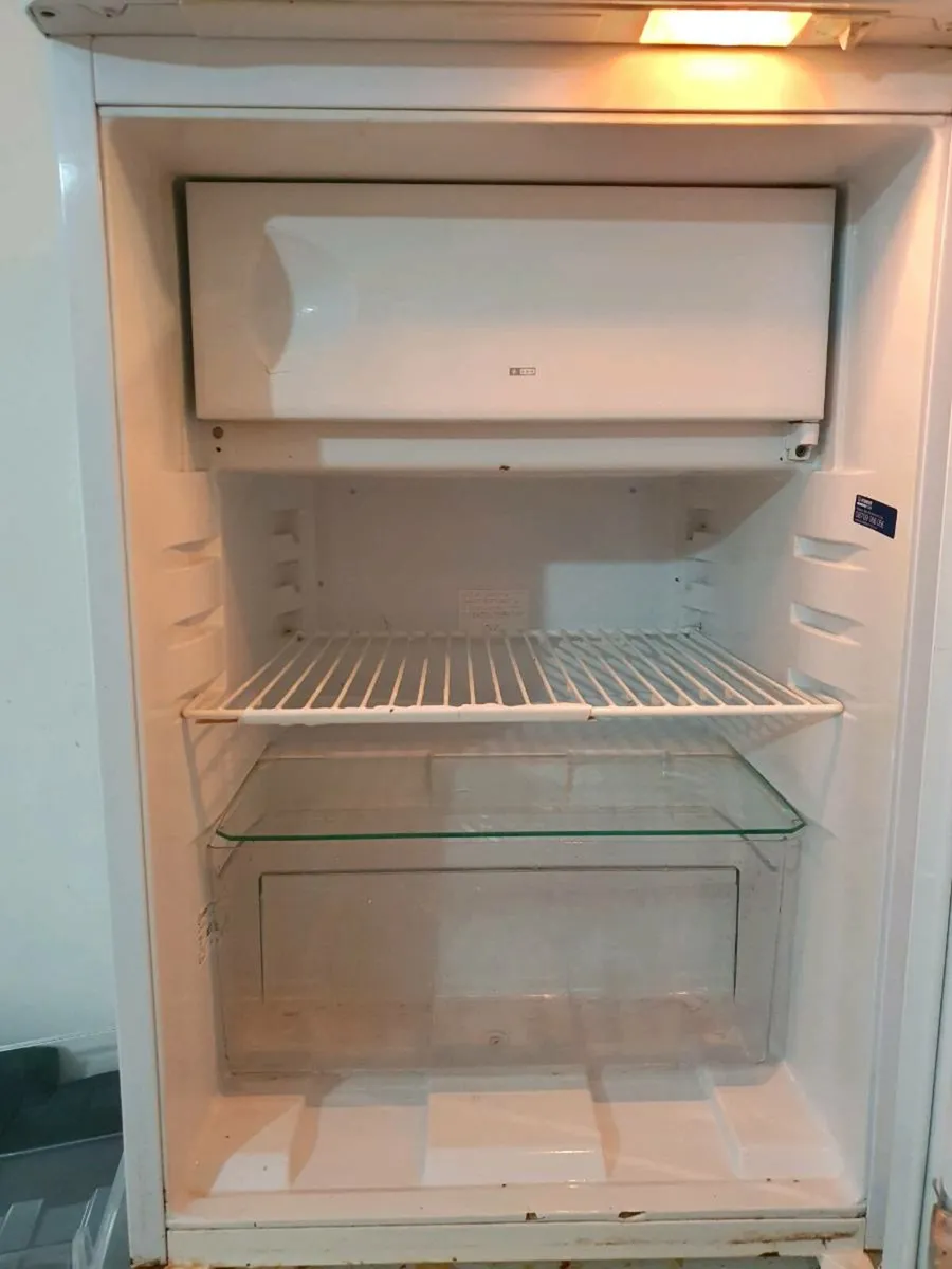 Fridge and freezer - Image 2
