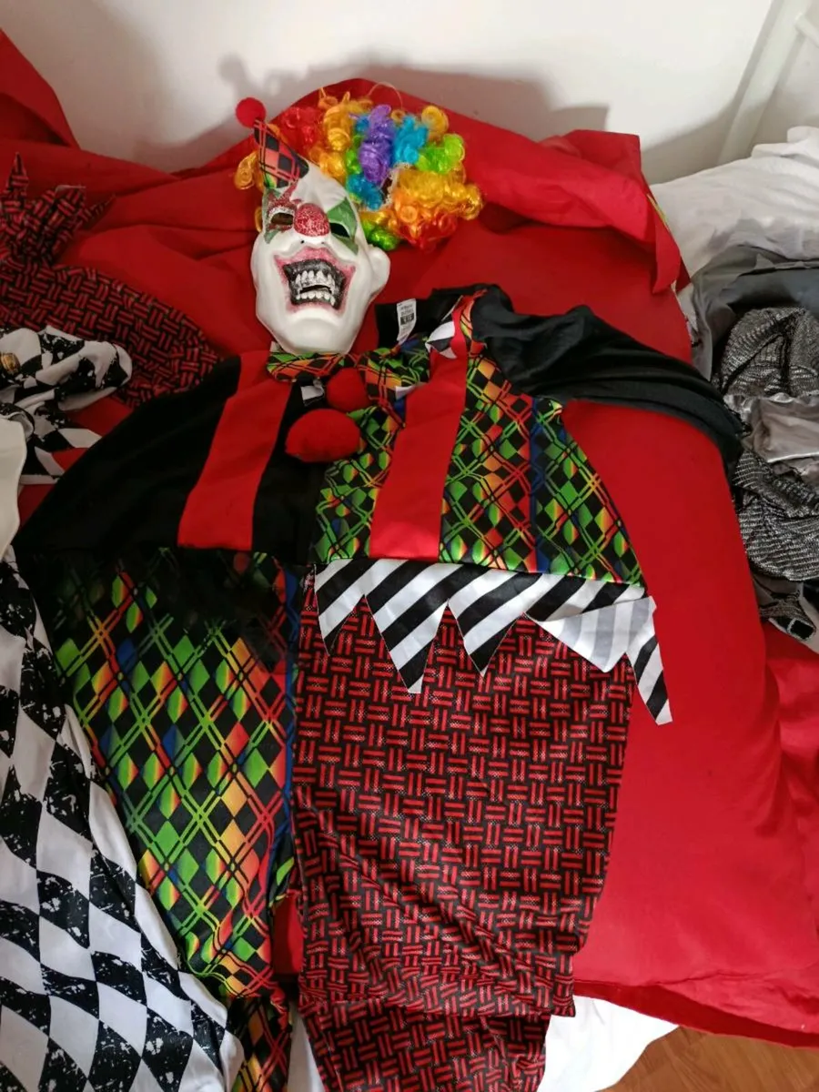 Halloween costume - Image 1