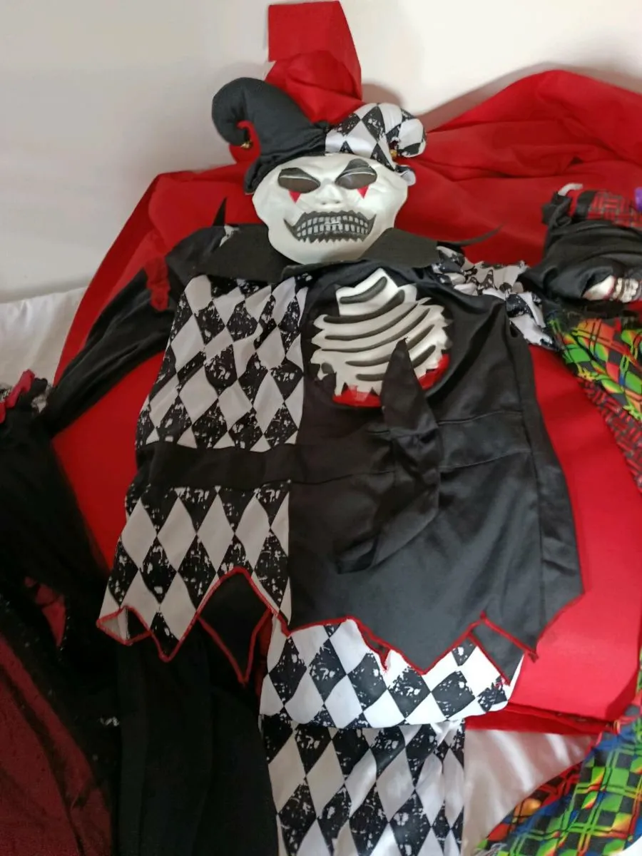 Halloween costume - Image 1