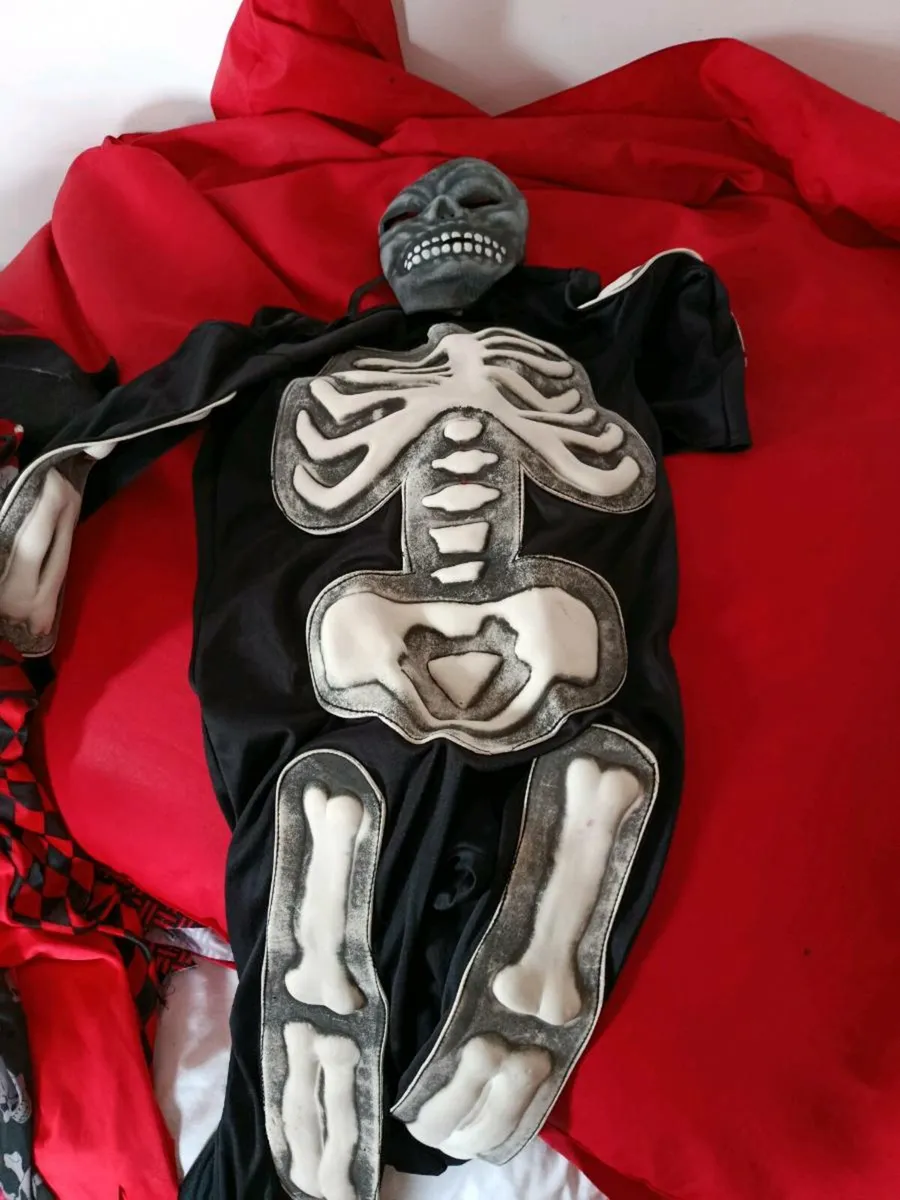 Halloween costume - Image 1