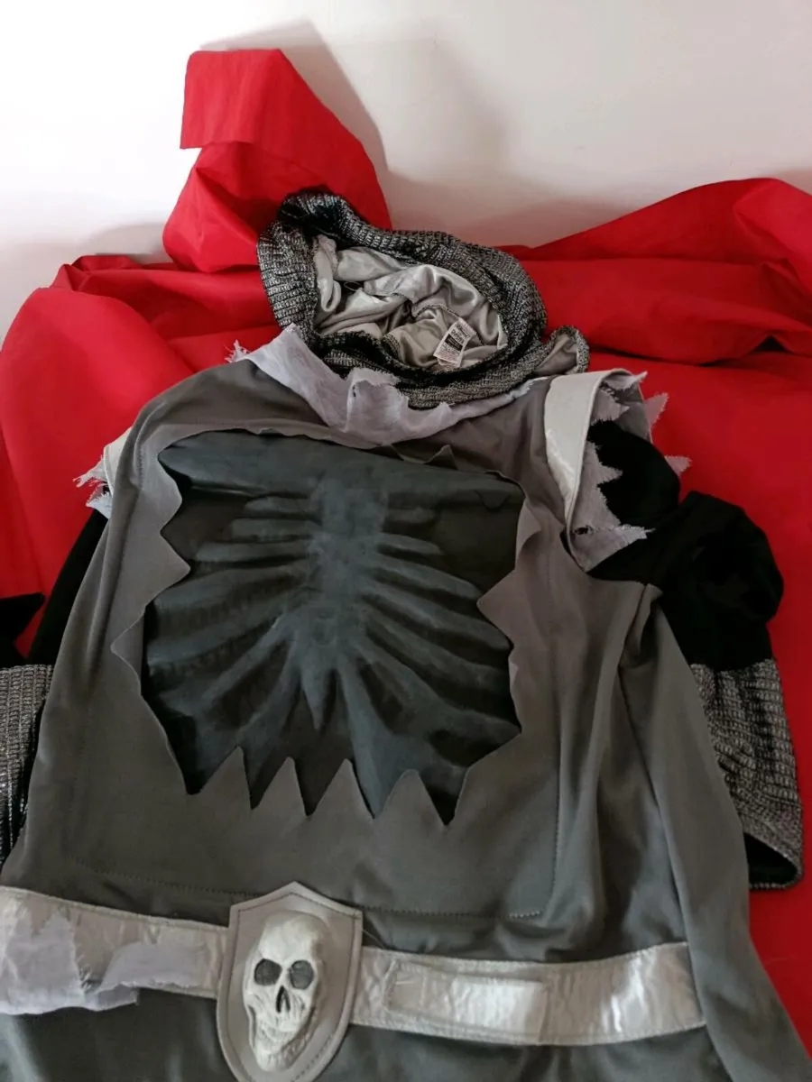 Halloween costume - Image 1