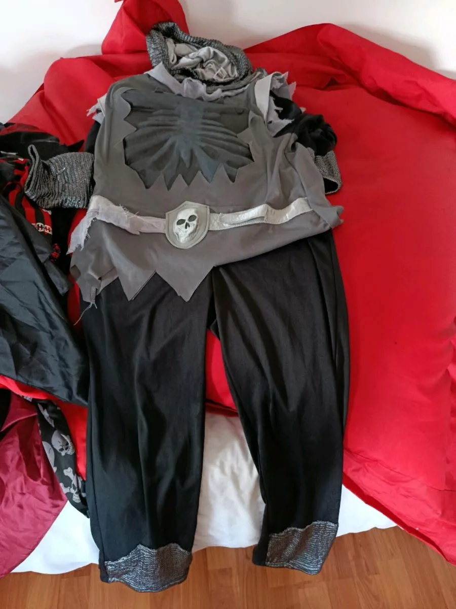 Halloween costume - Image 2