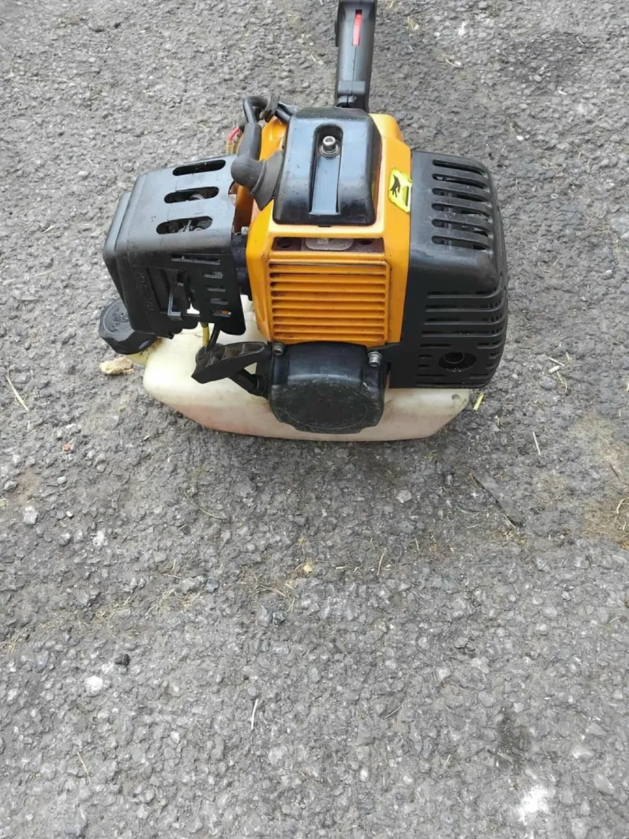 Big grass strummers running very well priced - Image 3