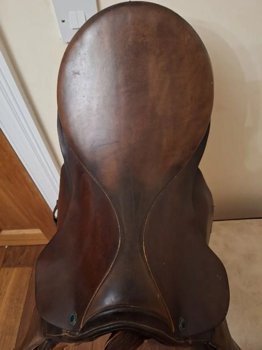Stubben Saddle - Image 3
