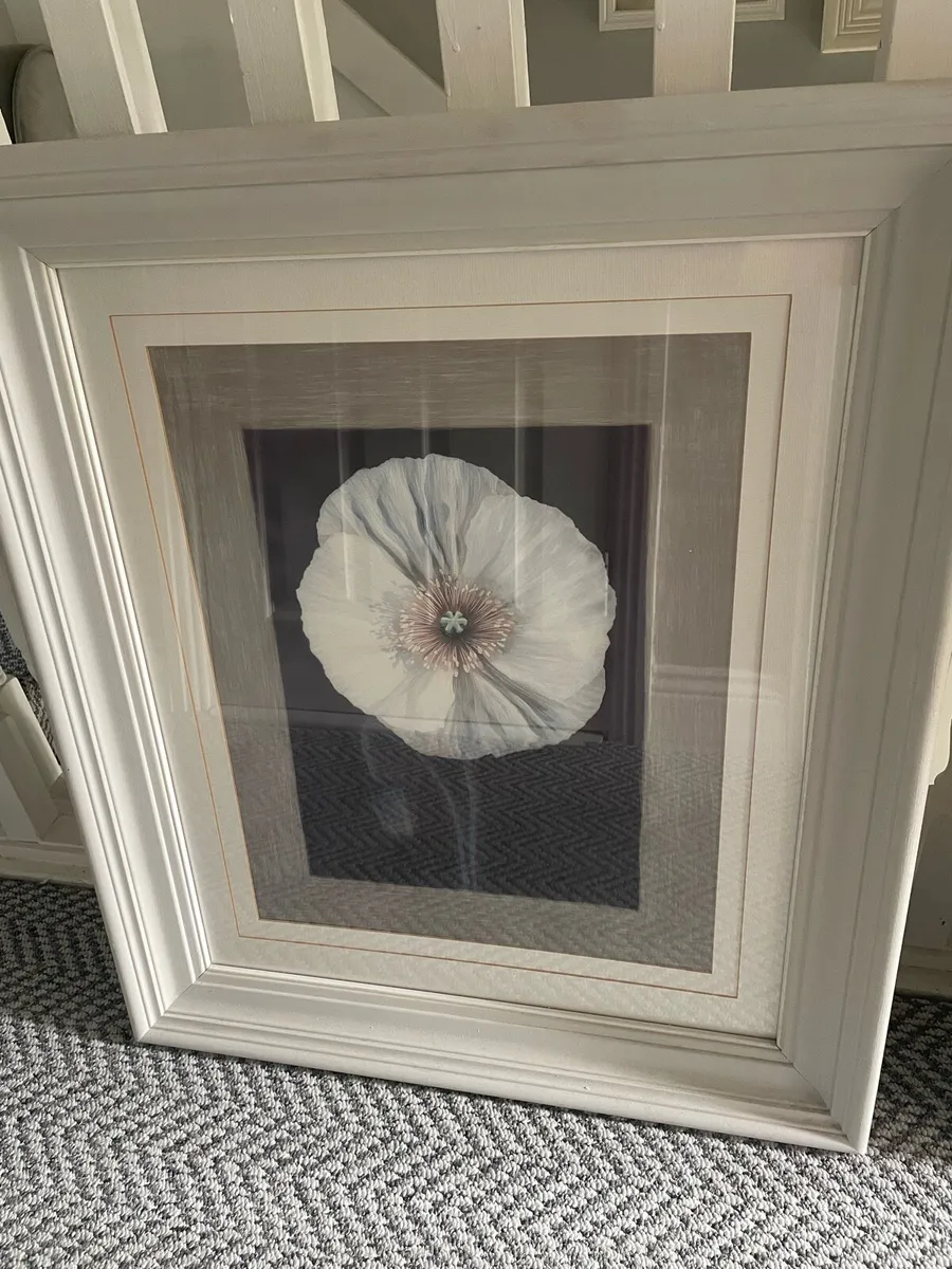 Large Framed pictures - Image 1