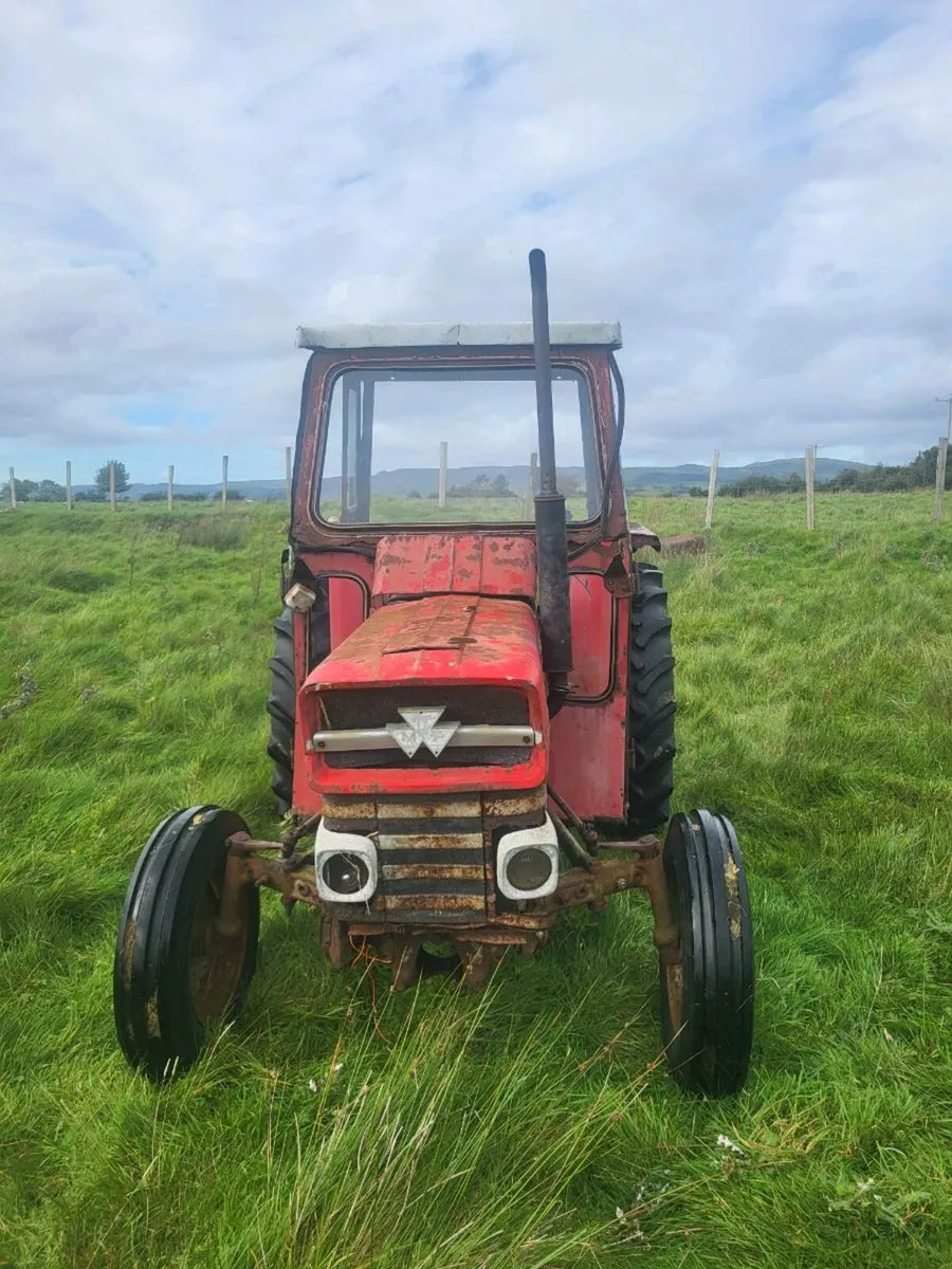 Massey Ferguson 135 - Image 2