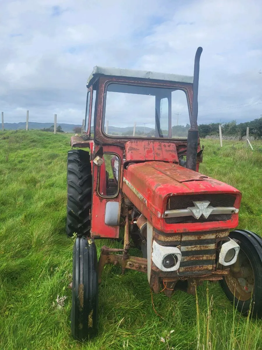 Massey Ferguson 135 - Image 3