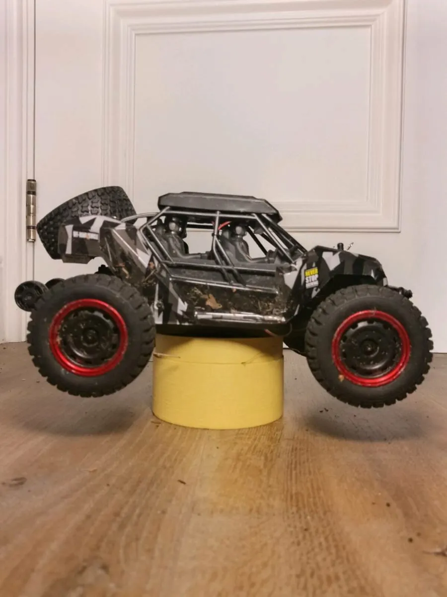 Adult RC Car