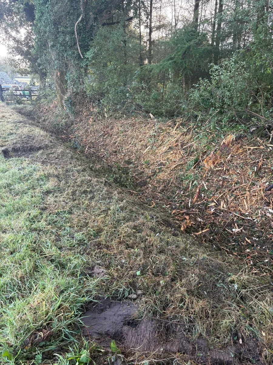 Mulcher 13/20 ton - Image 4
