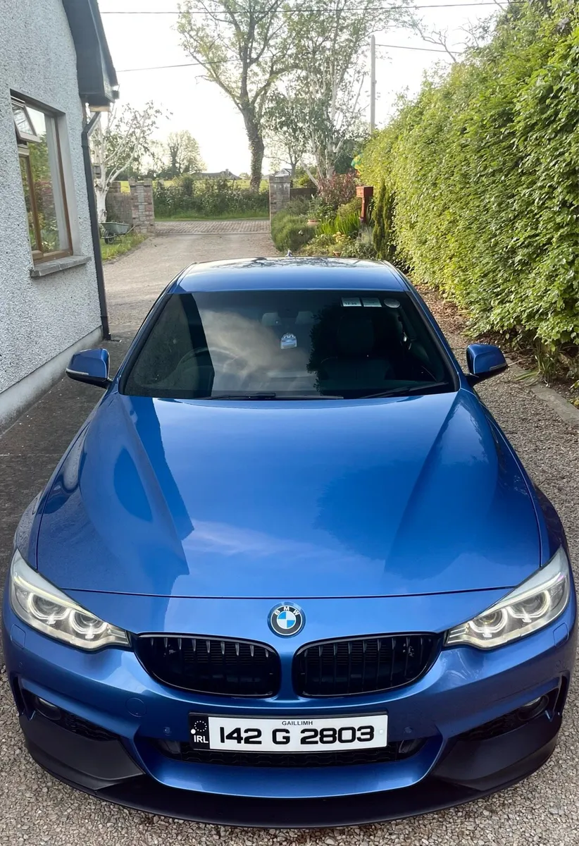 BMW 420d MSport xDrive - Image 2
