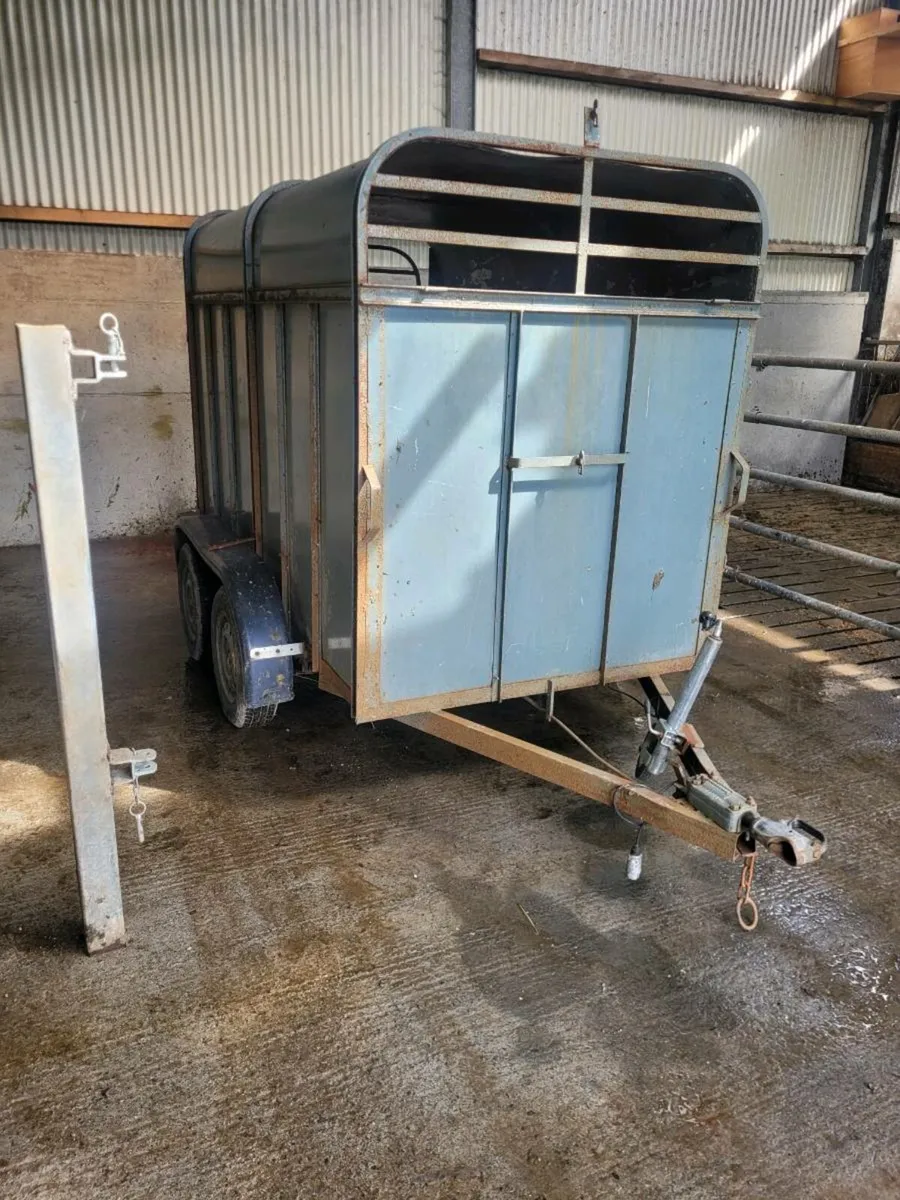 Cattle Trailer 8x4.5 foot - Image 1