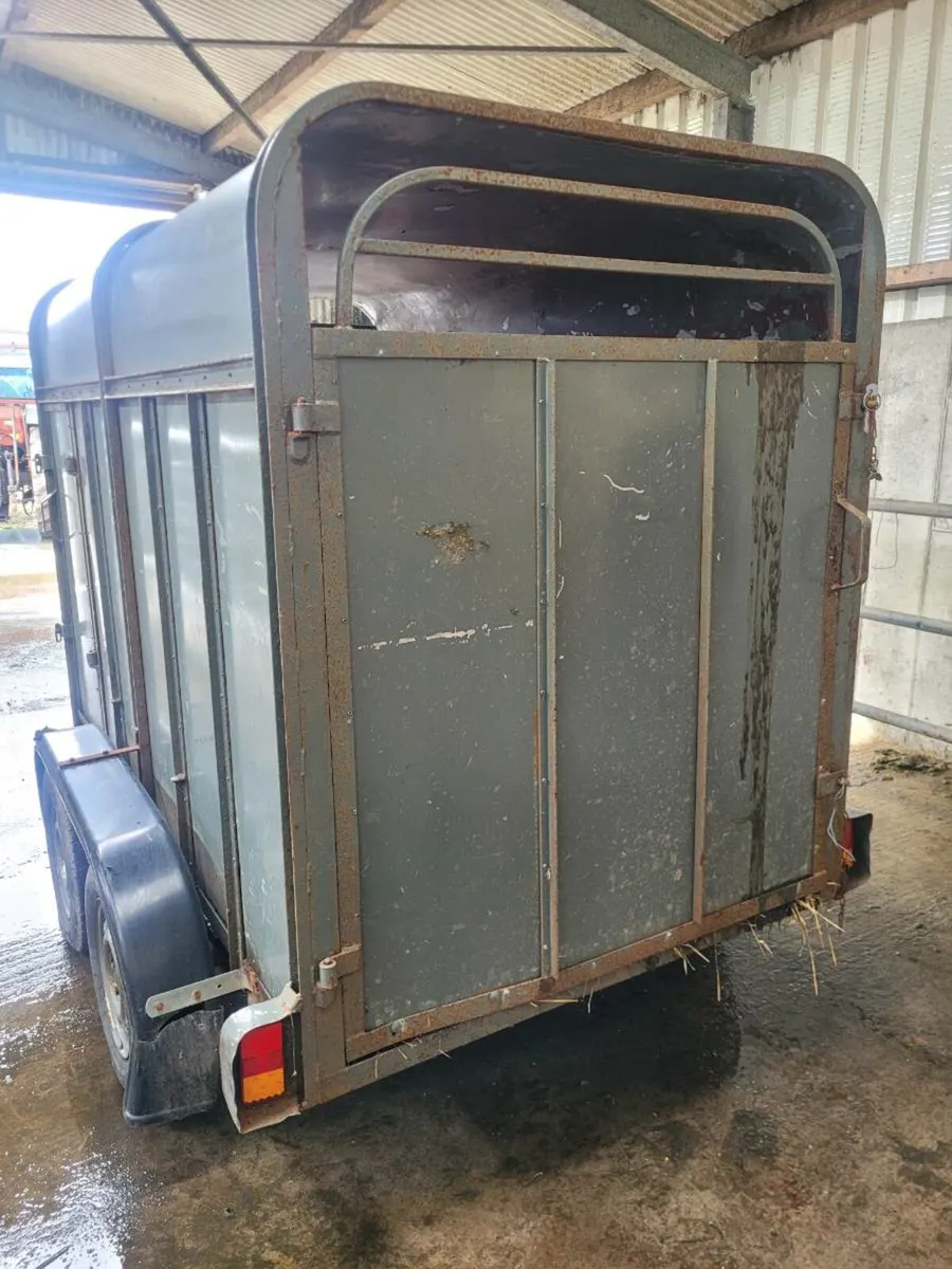 Cattle Trailer 8x4.5 foot - Image 2