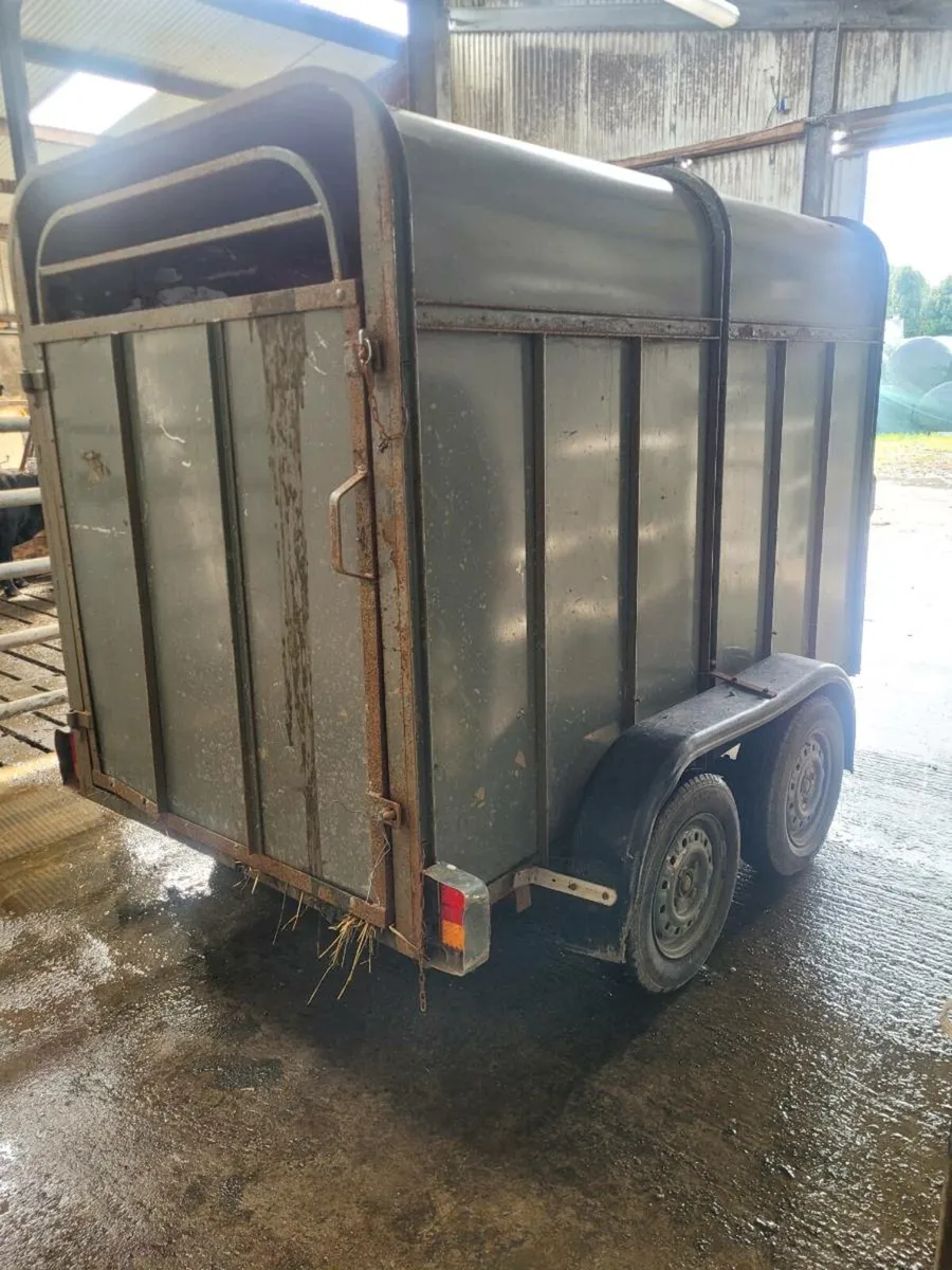 Cattle Trailer 8x4.5 foot - Image 3