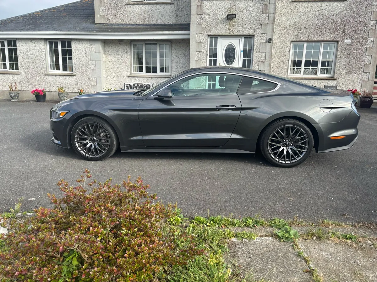 2016 Ford Mustang, low km, FSH, upgraded exhaust - Image 4