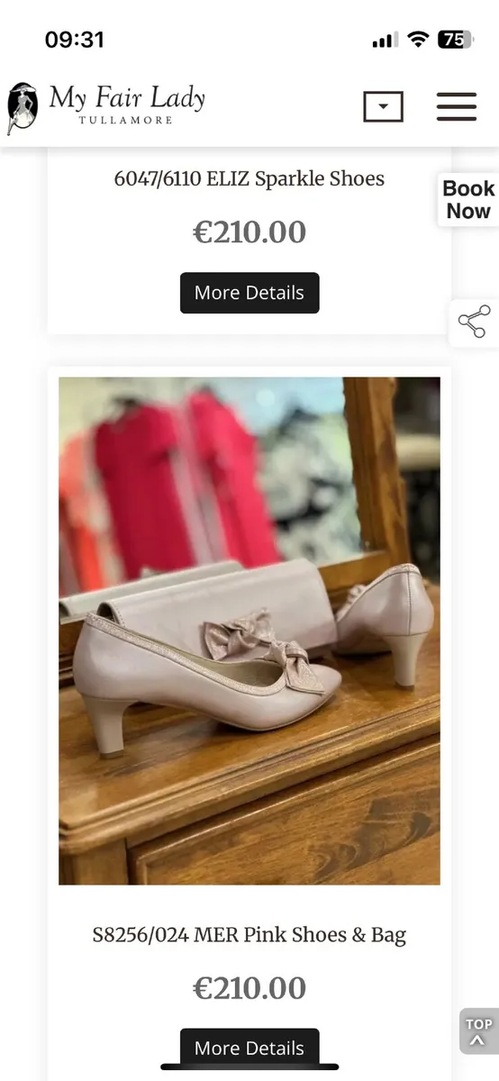 Wedding shoes - Image 1