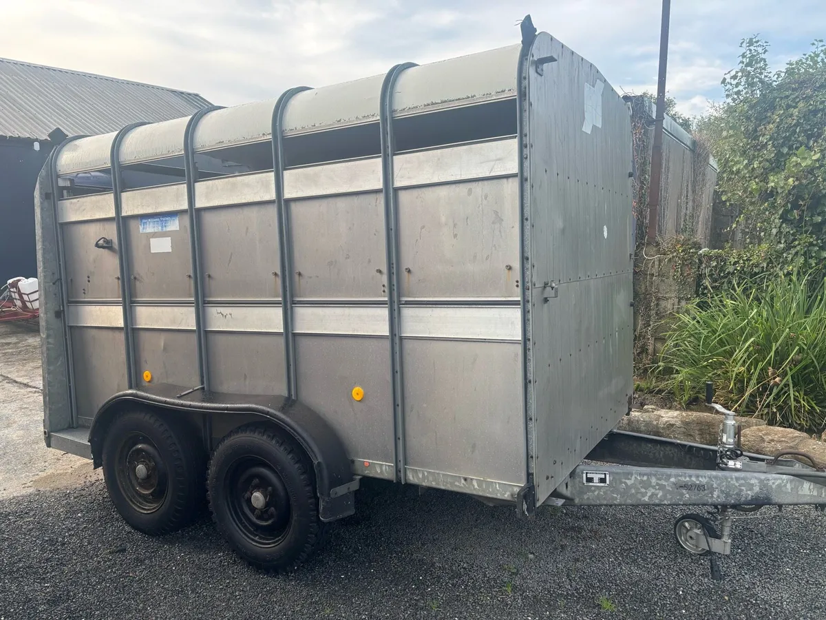 Ifor Williams 10x 6 - Image 1
