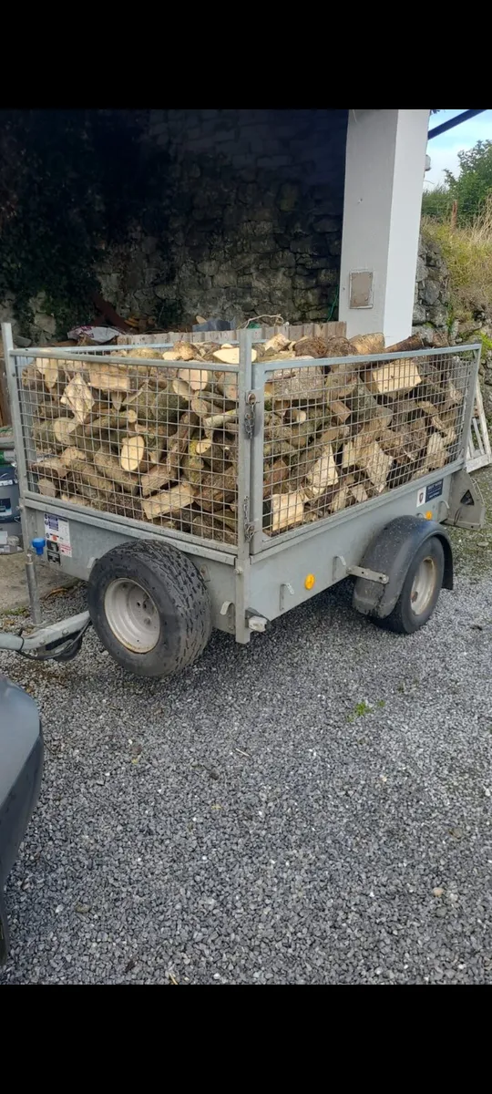 Ash firewood - Image 1