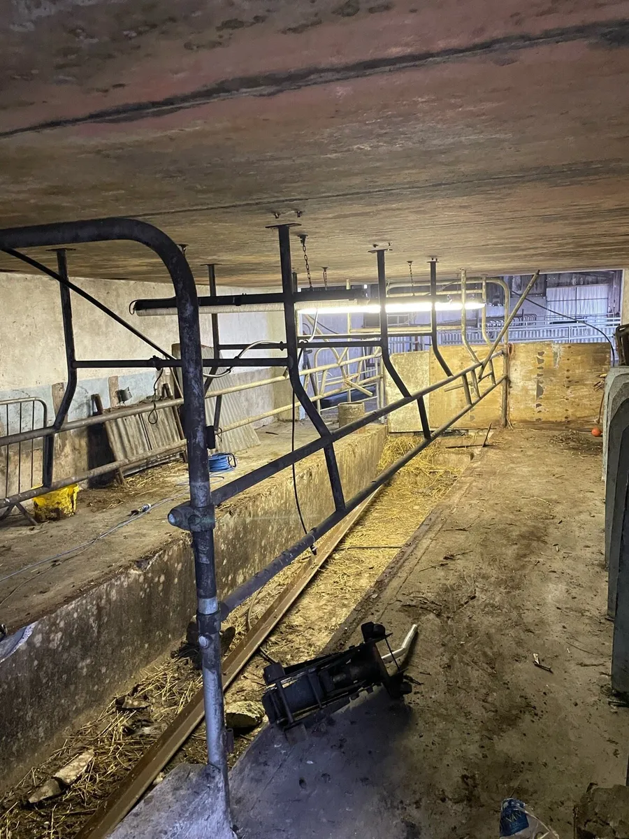 Milking parlour stall - Image 1