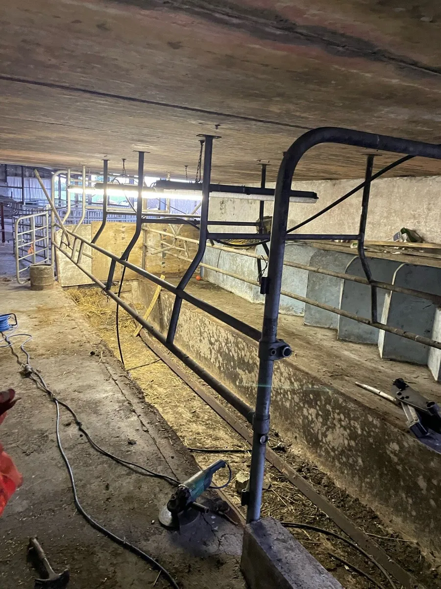 Milking parlour stall - Image 2