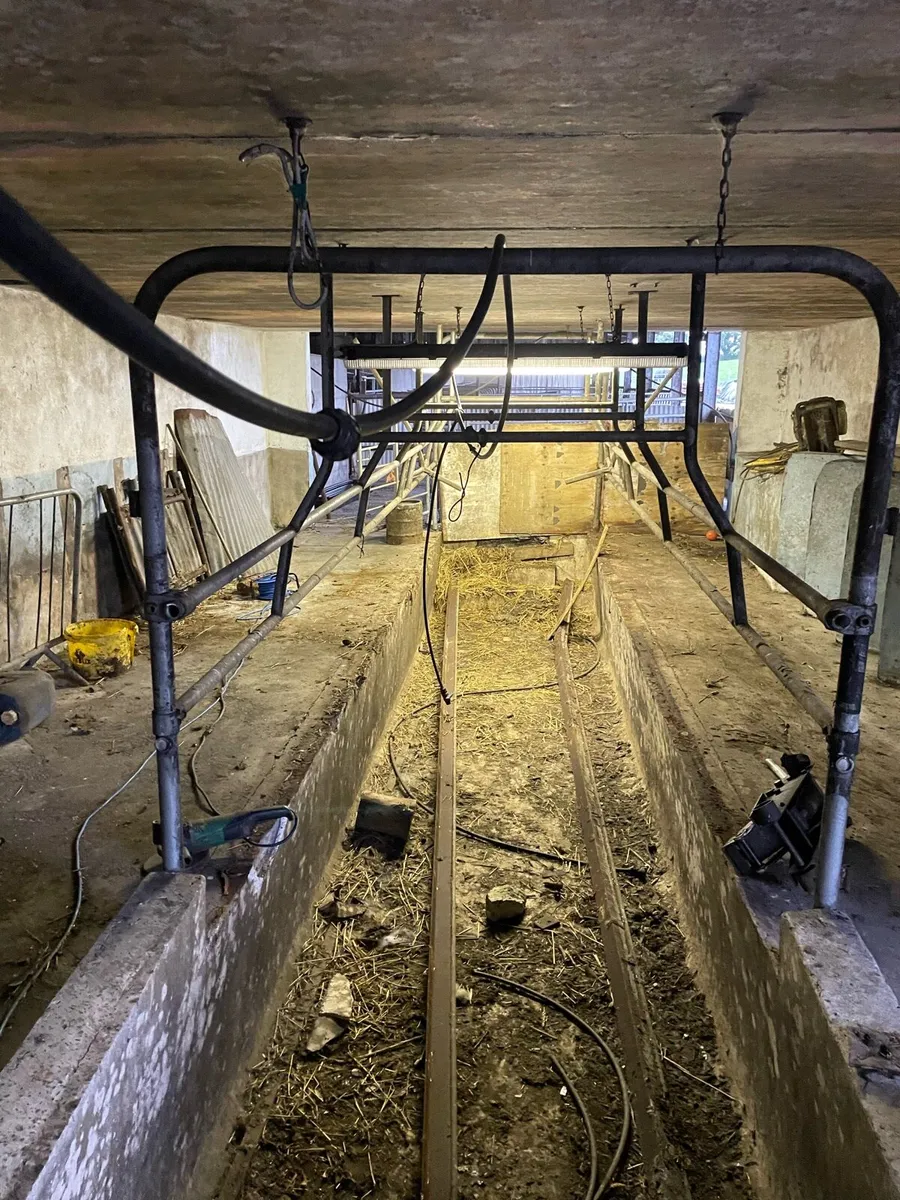 Milking parlour stall - Image 3