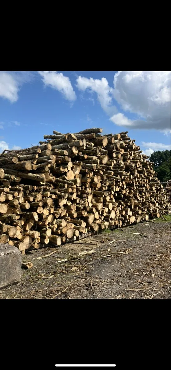 Firewood - Image 4