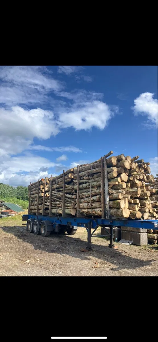 Firewood - Image 1