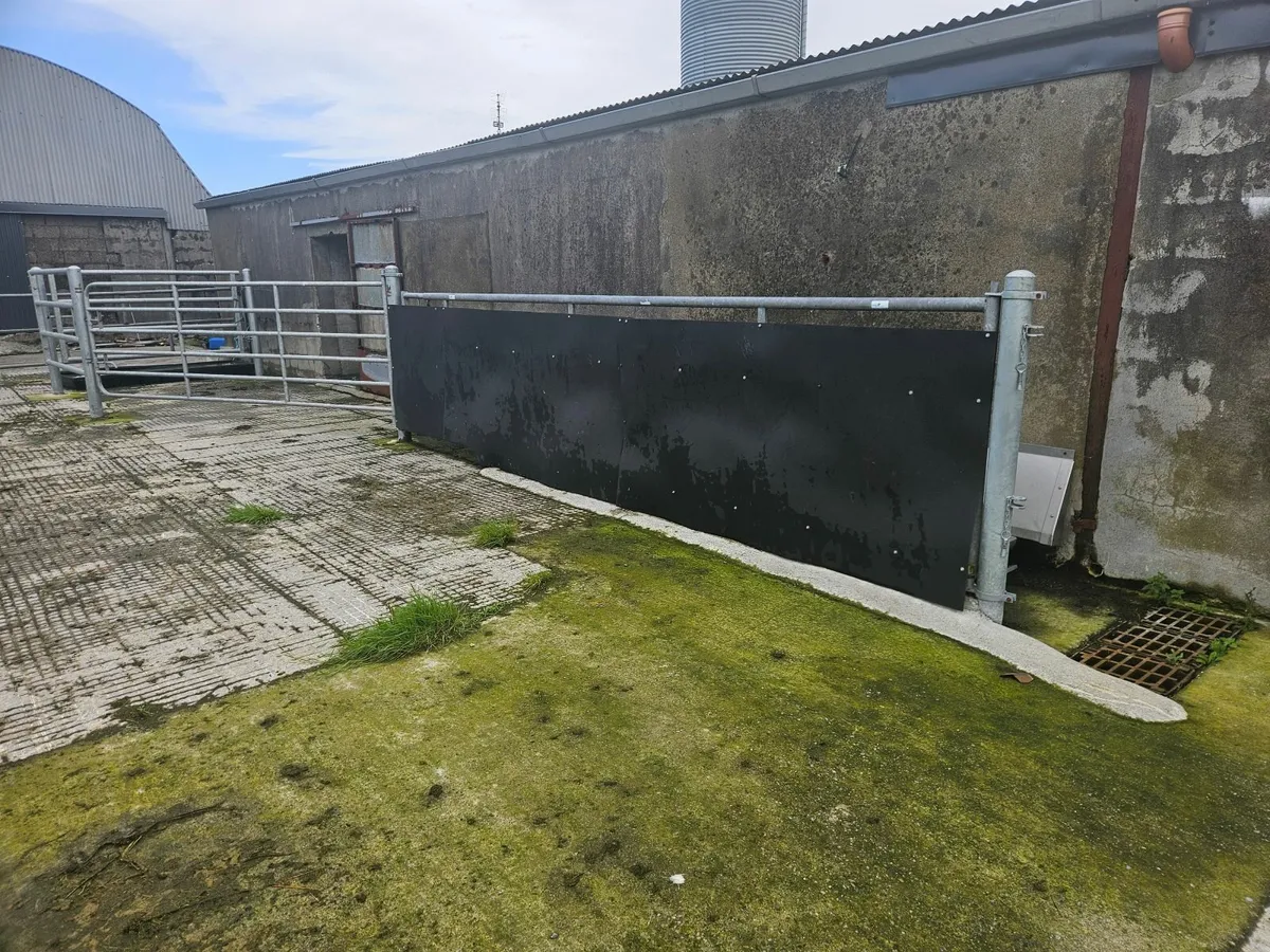 Automatic Footbath - Image 2